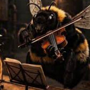 BEEE