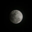 Moon🌙