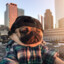 Pug_gamer