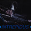 Qutas_909-(INTREPIDUS)
