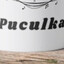 Puculka