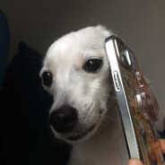 结婚后发现自己变同妻