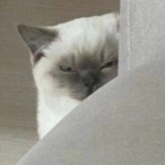 zjjhzz - steam id 76561197960886611