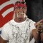 The Hulkster