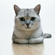 猫猫丶唯渝