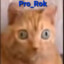 Pro_Rok2007