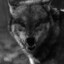 W!lde☠H!lde™ ᶠᵘᶜᵏᵧ
