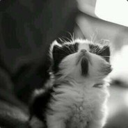 卖女孩的小火柴