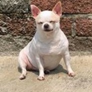 🐟🐟🐟Xiao_jI🐟🐟🐟