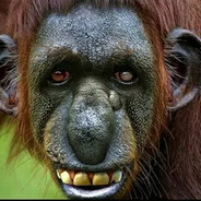 -pinki - steam id 76561199379678944