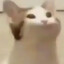 Mrconfuso