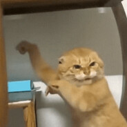 哈基米哦南北绿豆哈基米基哈基米米哈基