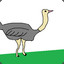 ostrich