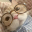 mooshi