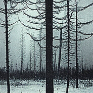 Аватар terasworld4859
