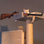 Avatar of Antagonist Cat