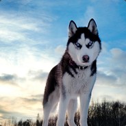 如果可以请带我飞