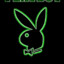 young playboy ♞