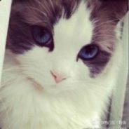 Big Avatar