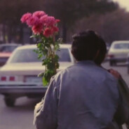 不爱做梦的游荡者