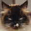 Nurse_Meow