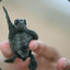 Z_turtle