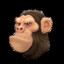 Ape #12
