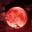 Redmoon红月