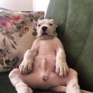 doğu - steam id 76561198119657465