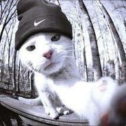 ПОПАЖОПА