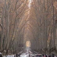 从你的全世界路过