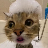 Spalovač chlastu <3