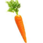 Carrot of Destiny