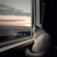 几把5cm（阳痿版）