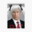 AmericanLaws avatar