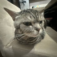 Курю бамбук