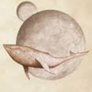 Whale