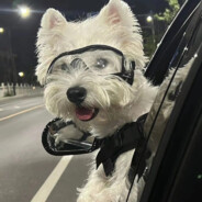 ⚡Xantarespeek⚡kuku乱送