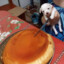 Perro cortando un flan