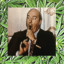 RealBuddDwyer59