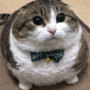 Кишмишович К.Я avatar