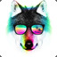 ✔۩☢♕WOLF♕☢۩✔
