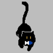 艾温·索尔斯蒂斯