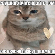 Аватар писка