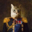 Sir Kittus