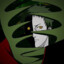 zetsu