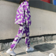 南瓜窝里的兔子