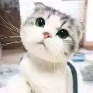 欢乐时光开始了