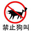 鲁国的纸上为何全是晋