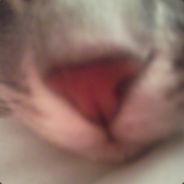 notsofastdontbeapest